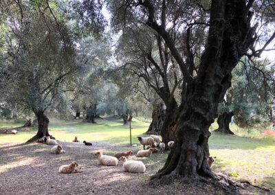 Parc du Pian