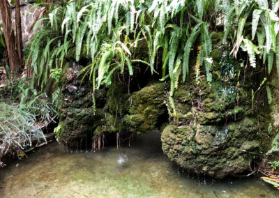 Jardin Botanique Val Rahmeh
