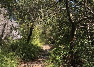 La Via Aurelia (mellan Menton och Latte)