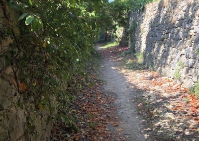 La Via Aurelia (mellan Menton och Latte)